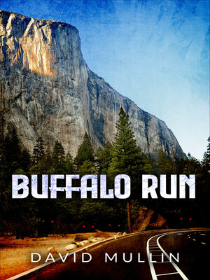 cover image of Buffalo Run